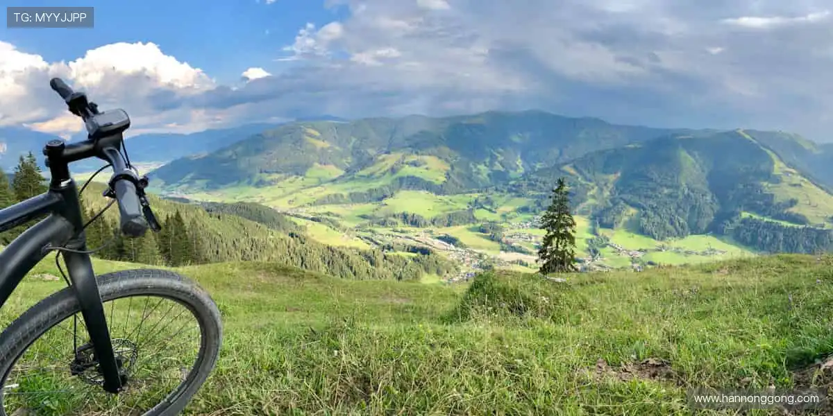 📺 高清直播，让你身临其境！