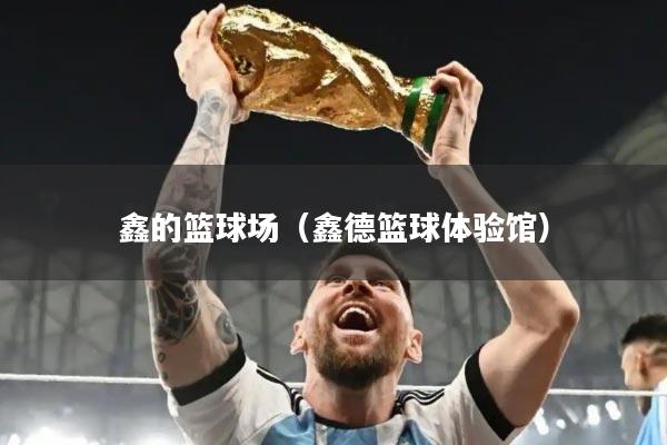 鑫的篮球场(鑫德篮球体验馆)