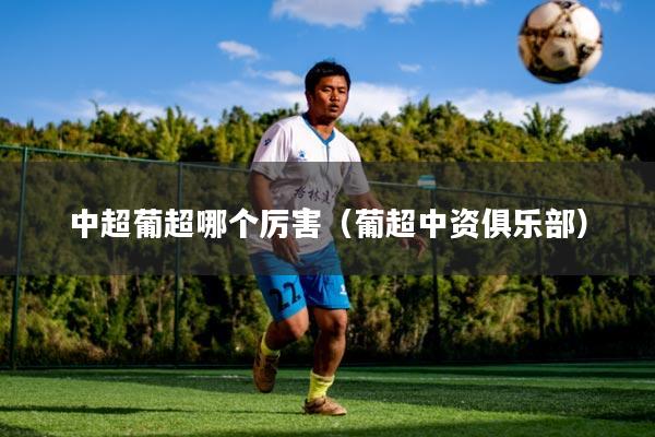 中超葡超哪个厉害(葡超中资俱乐部)