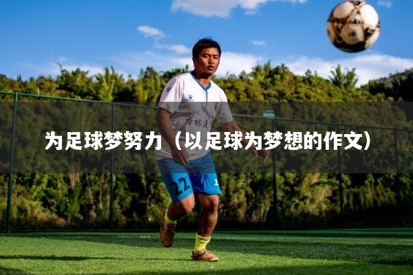 为足球梦努力（以足球为梦想的作文）