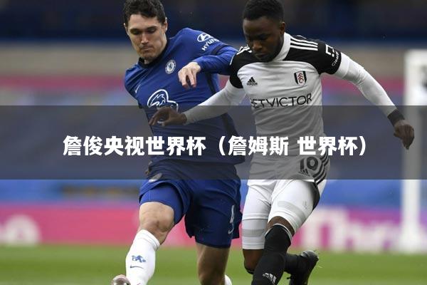 詹俊央视世界杯(詹姆斯 世界杯)