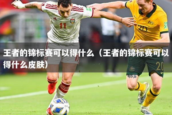 王者的锦标赛可以得什么（王者的锦标赛可以得什么皮肤）